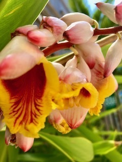 IMG_9981.jpg